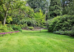 Optimiser l'expérience du jardin à Baudoncourt